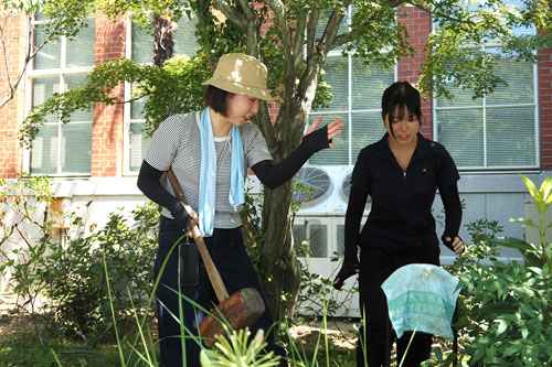 250801_news_tree_tag1.jpg