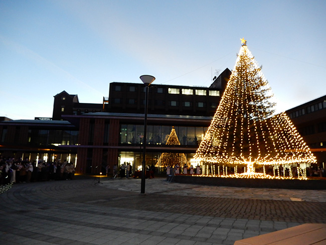 【中古】 一日だけのクリスマスツリー/芸術新聞社/林田タツヤ 中古】 一日だけのクリスマスツリー/芸術新聞社/林田タツヤの