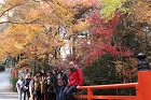 JSPpic_51_2017.jpg