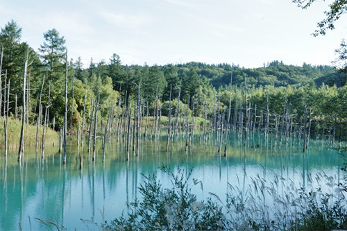 250925_social_report_furano_fieldwork1.jpg