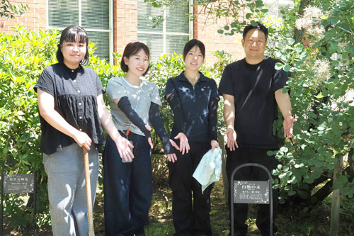 250801_news_tree_tag3_v2.jpg