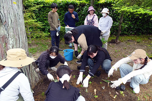 260615_report_gardening2.jpg
